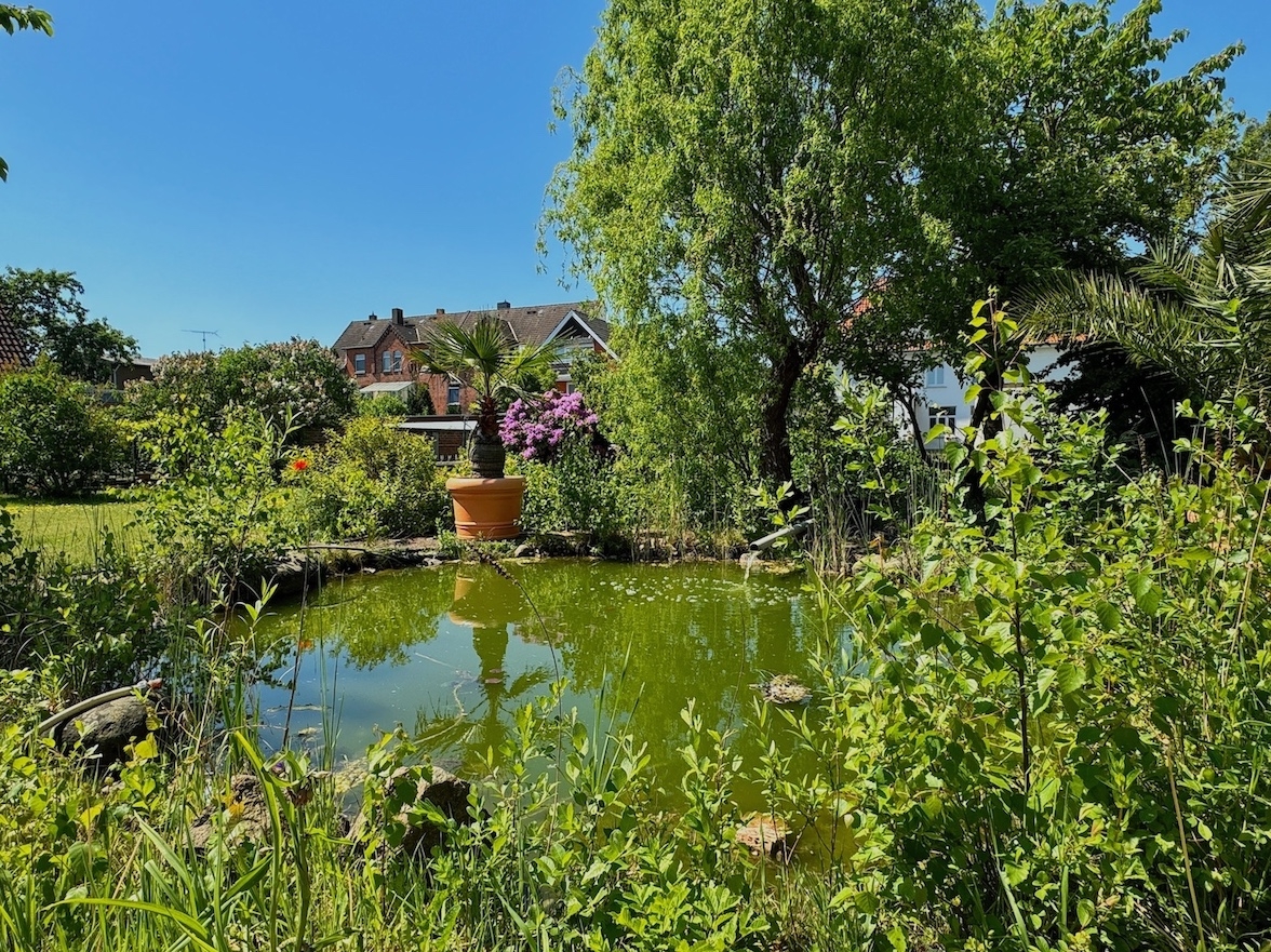 Gartenimpressionen