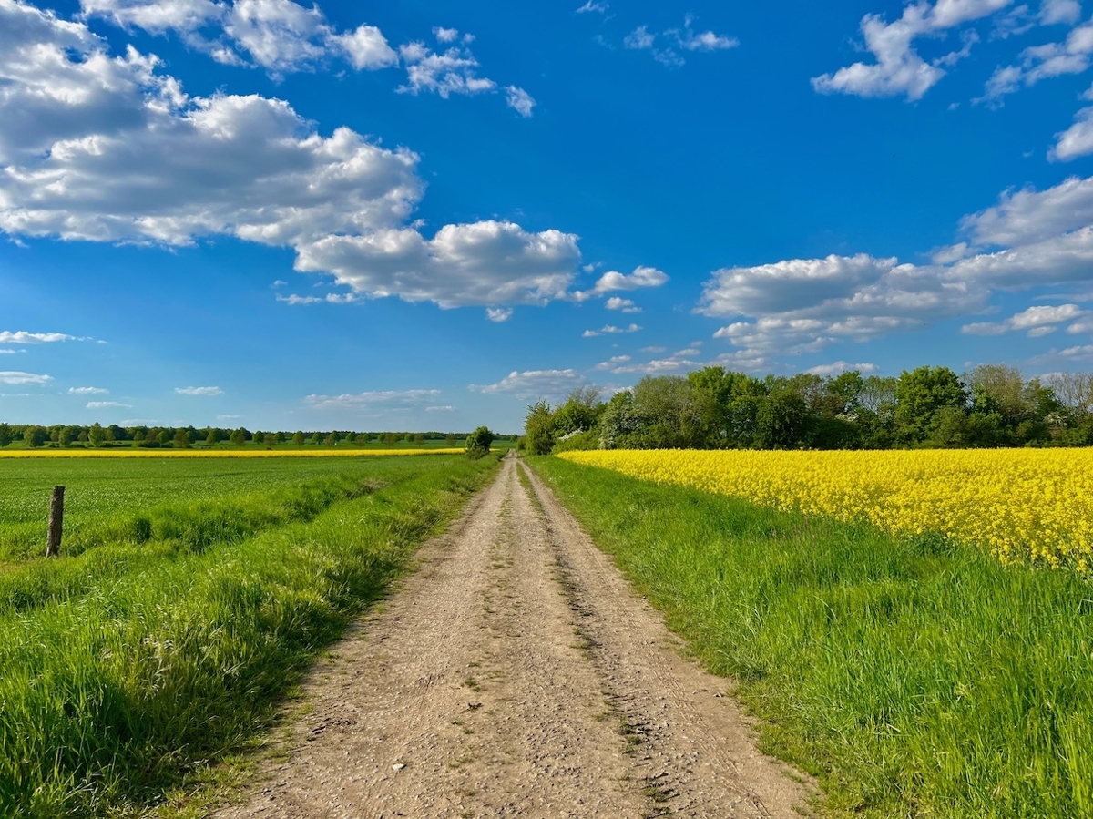 Blick ins Umfeld