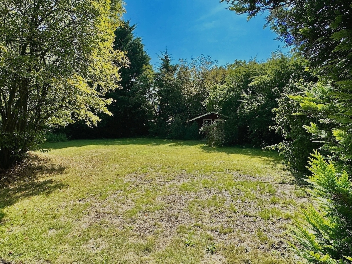 Gartenimpressionen
