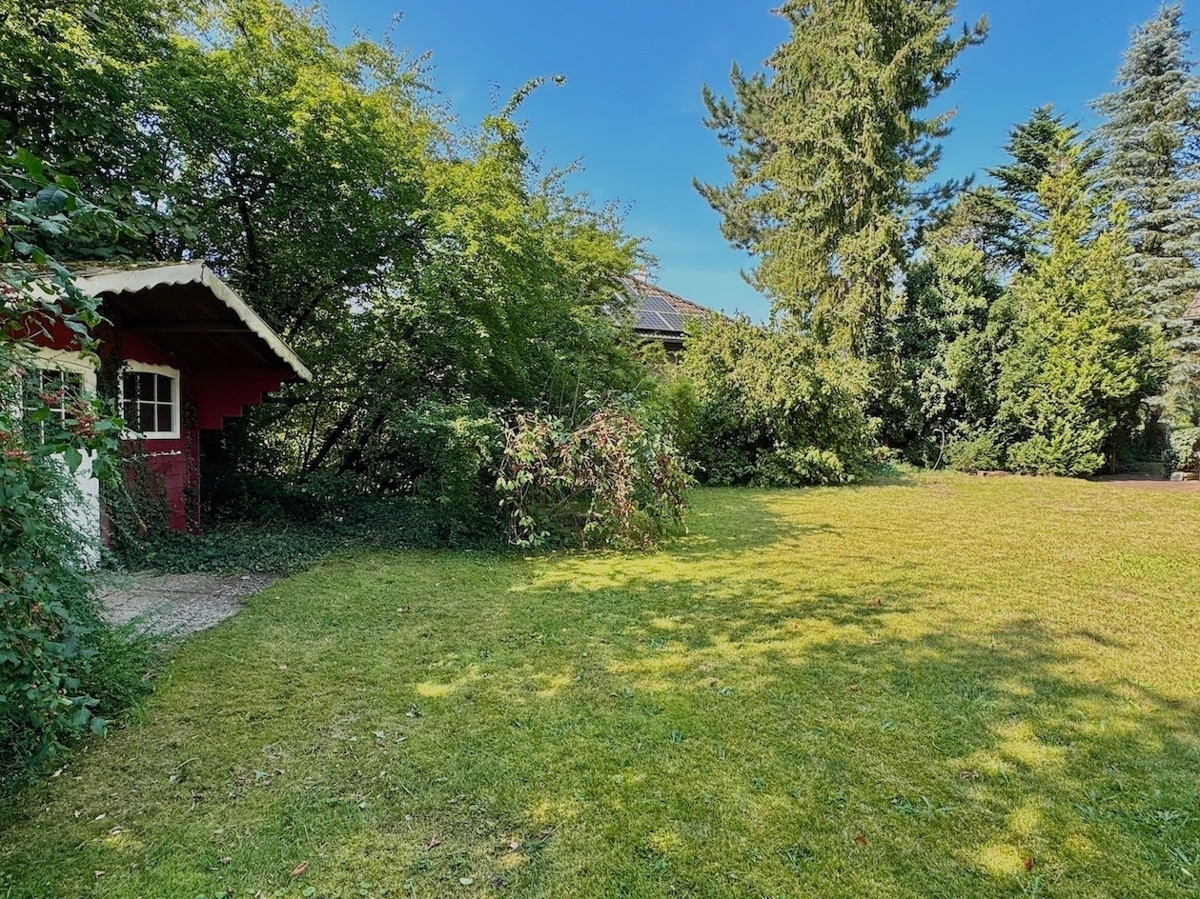 Gartenimpressionen