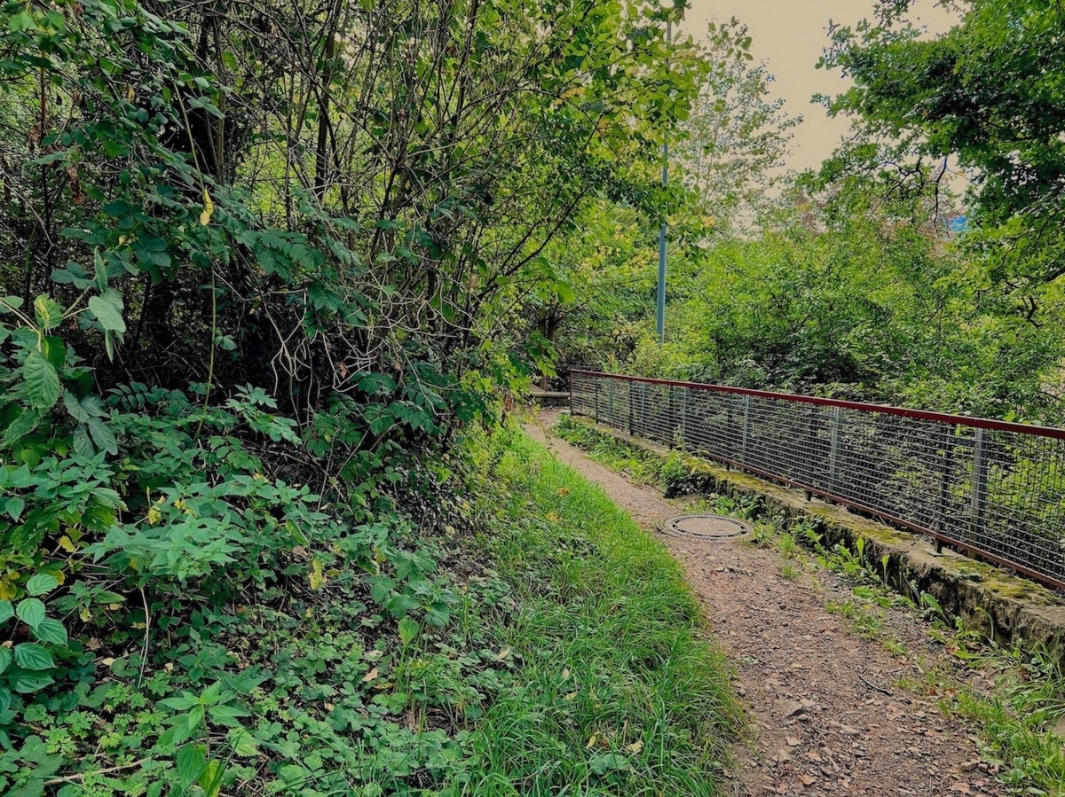 Fußweg in die Altstadt