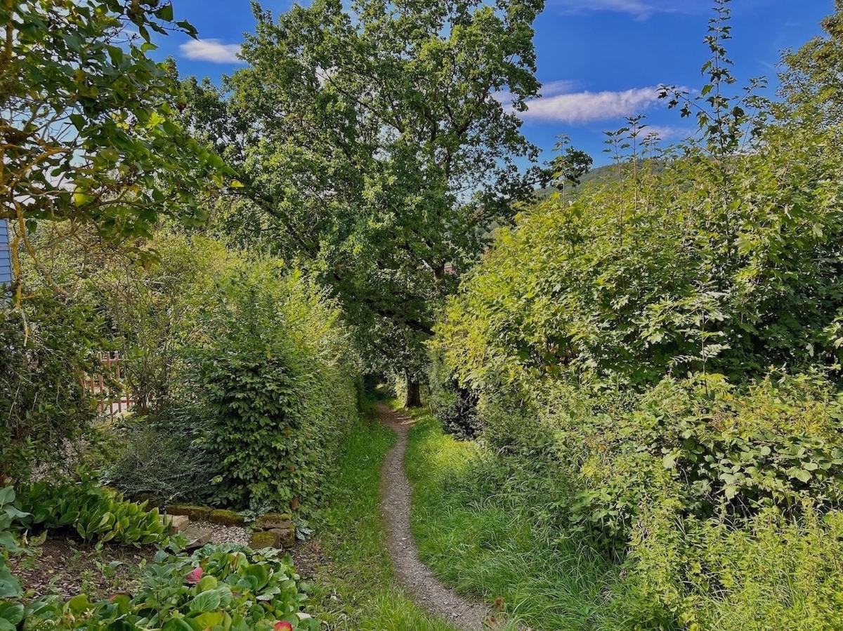 Fußweg in die Altstadt