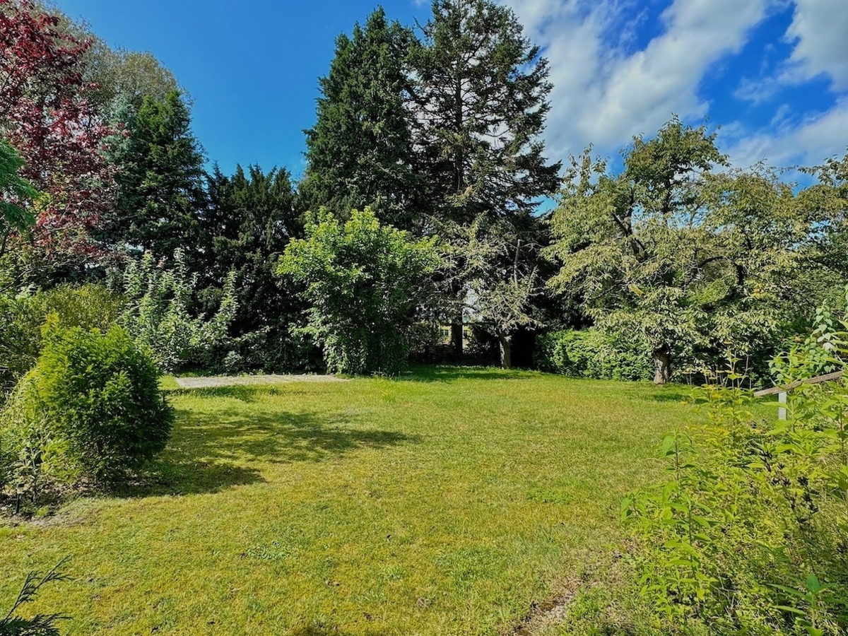 Gartenimpressionen