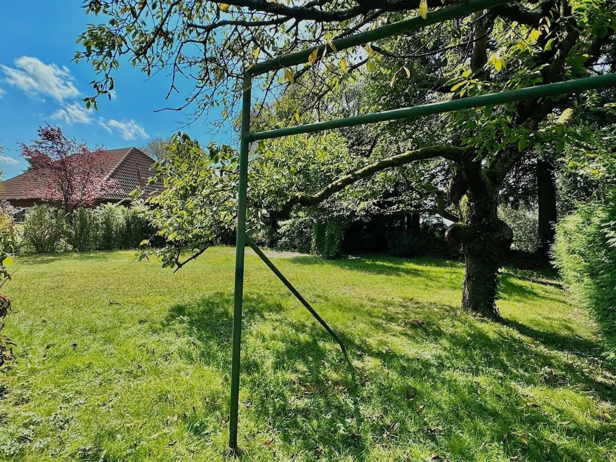 Gartenimpressionen