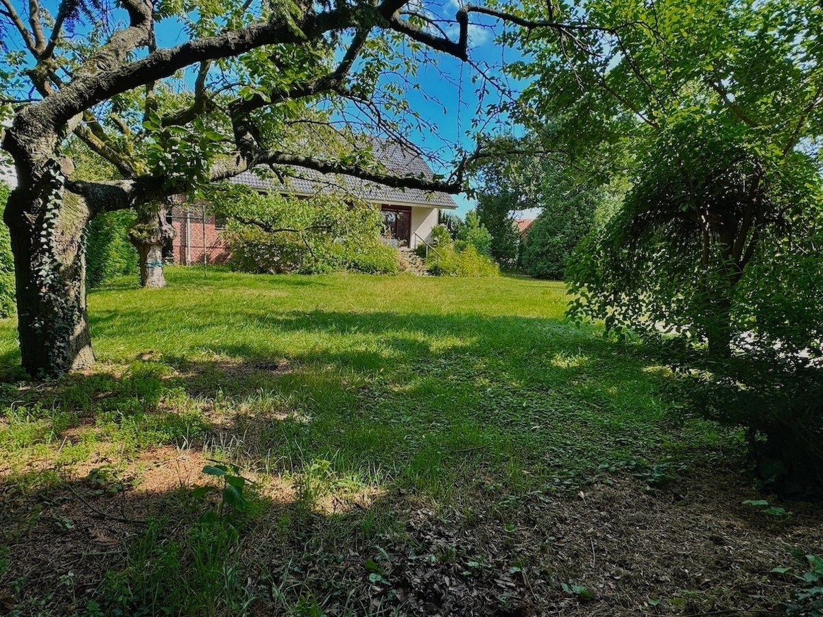 Gartenimpressionen