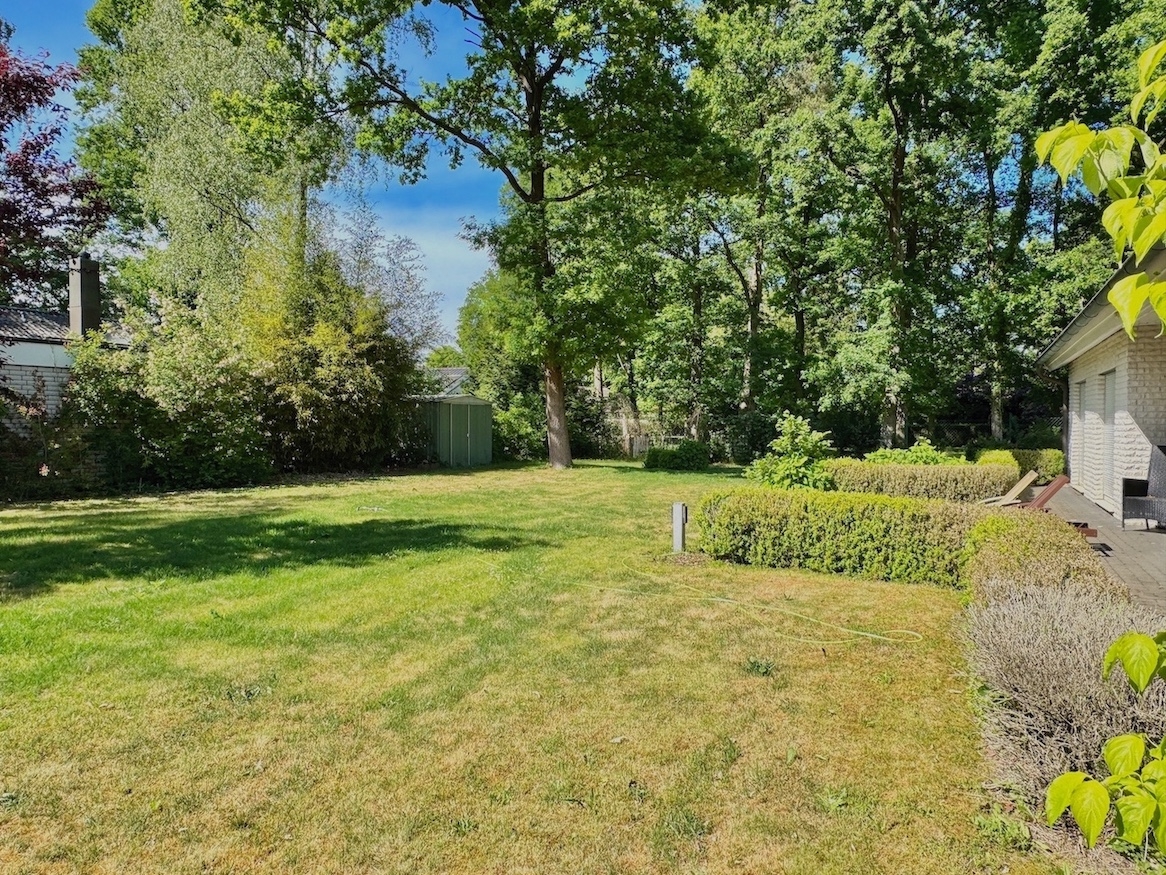 Gartenimpressionen