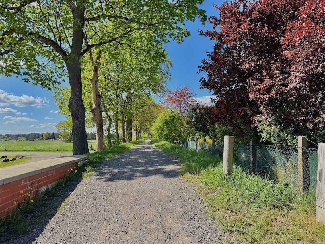 an der Aller