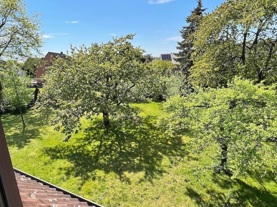 Blick vom Elternzimmer