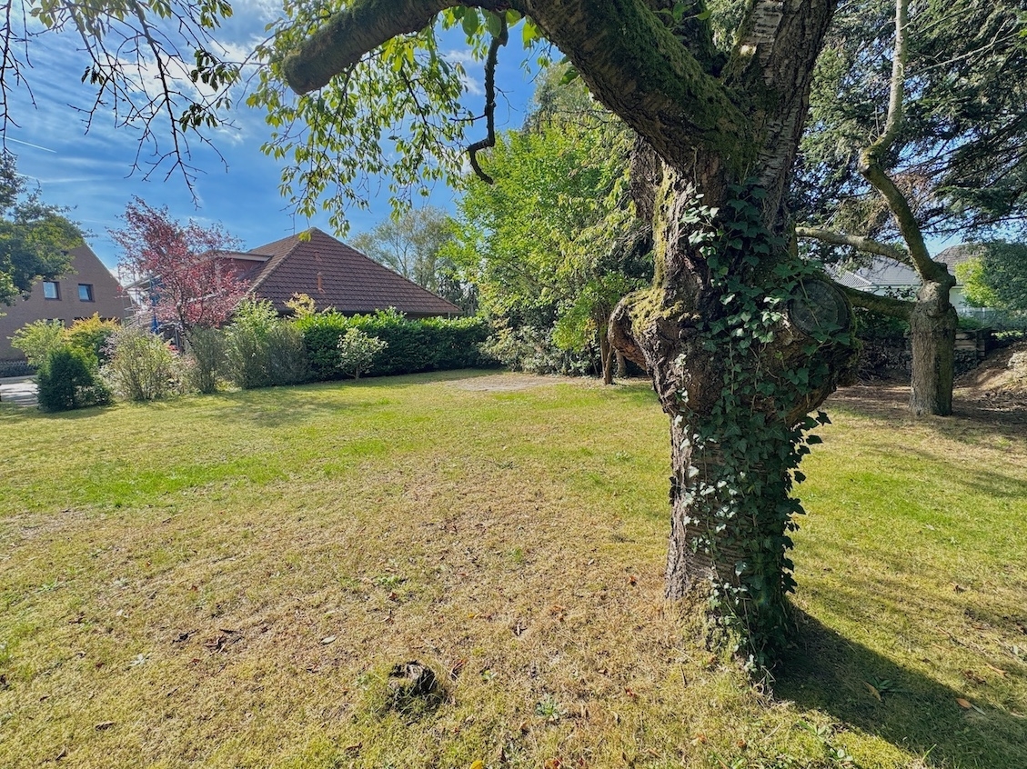 verschiedene Ansichten