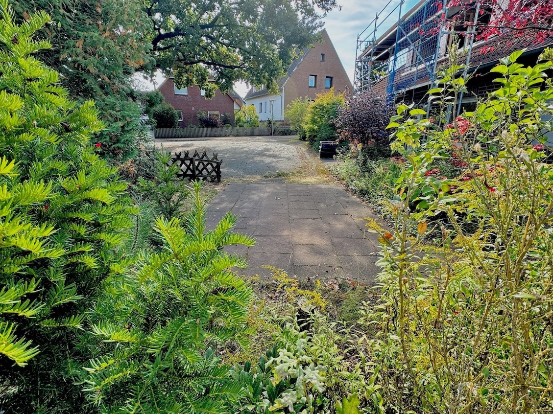 Blick zur Zufahrt vom Grundstück