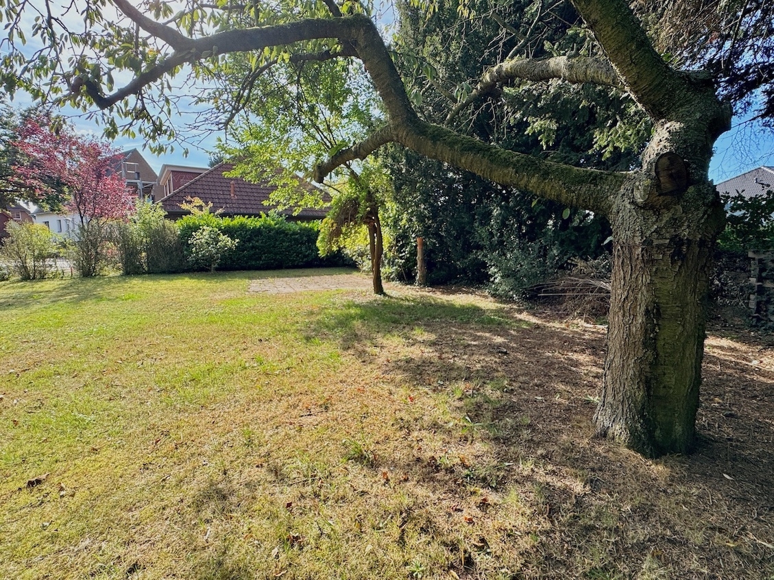 verschiedene Ansichten