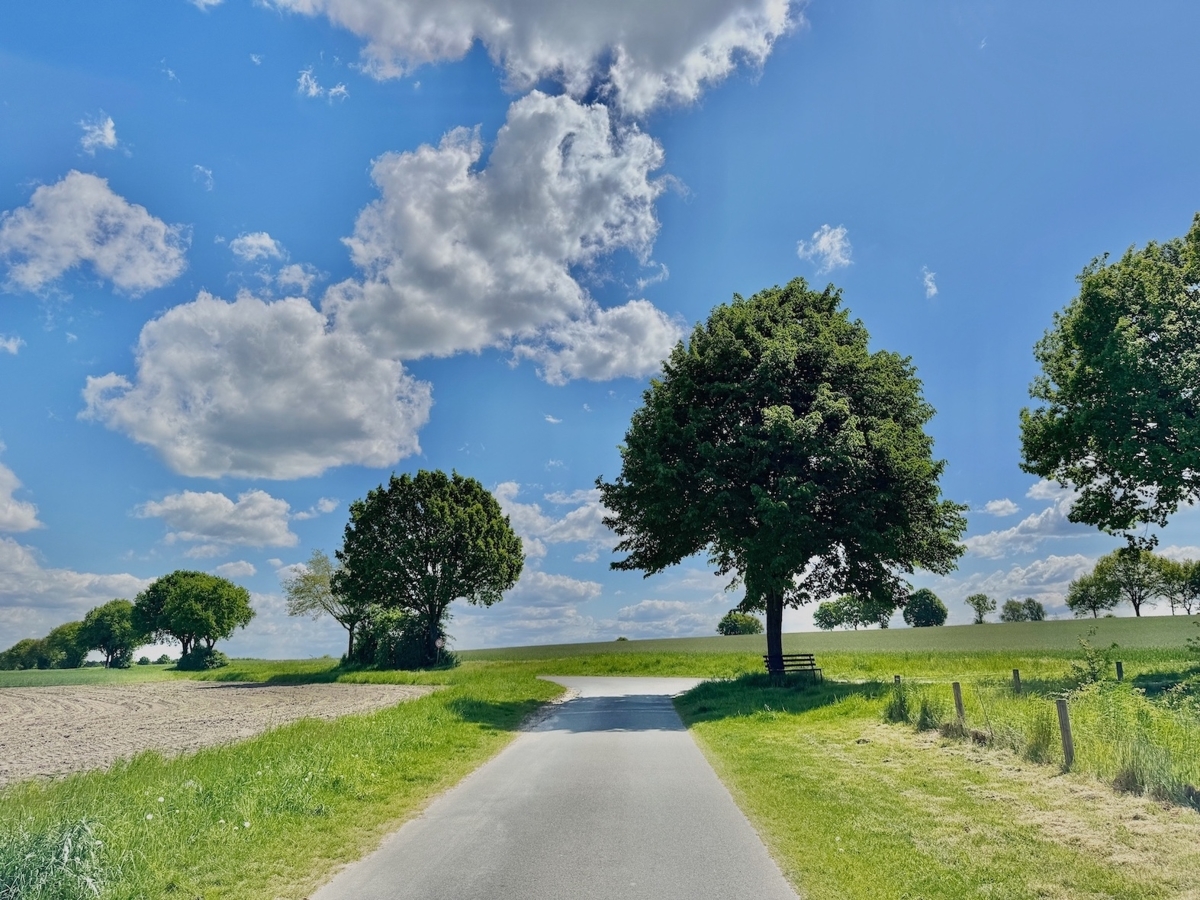 Umliegende Landschaft