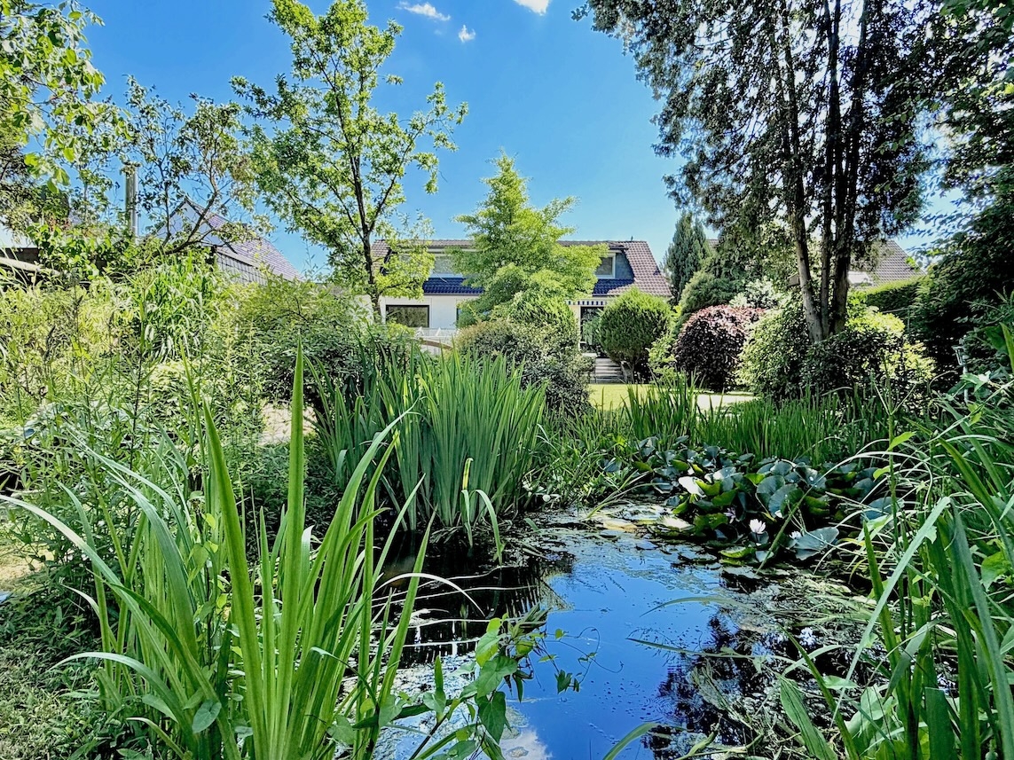 Gartenimpressionen