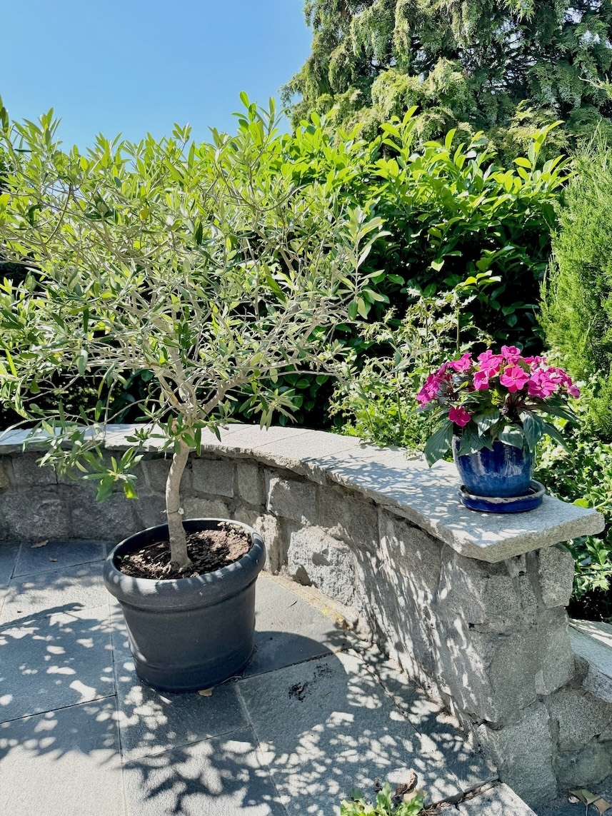 Nordwest-Terrasse