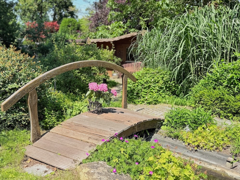Gartenimpressionen