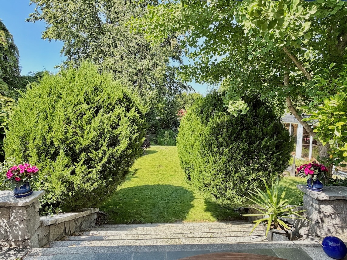 Blick in den Garten