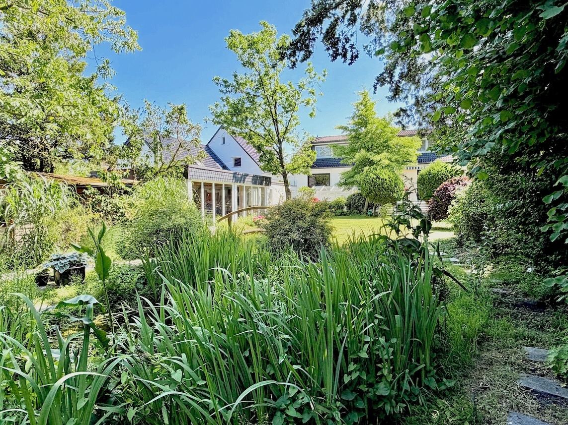 Gartenimpressionen