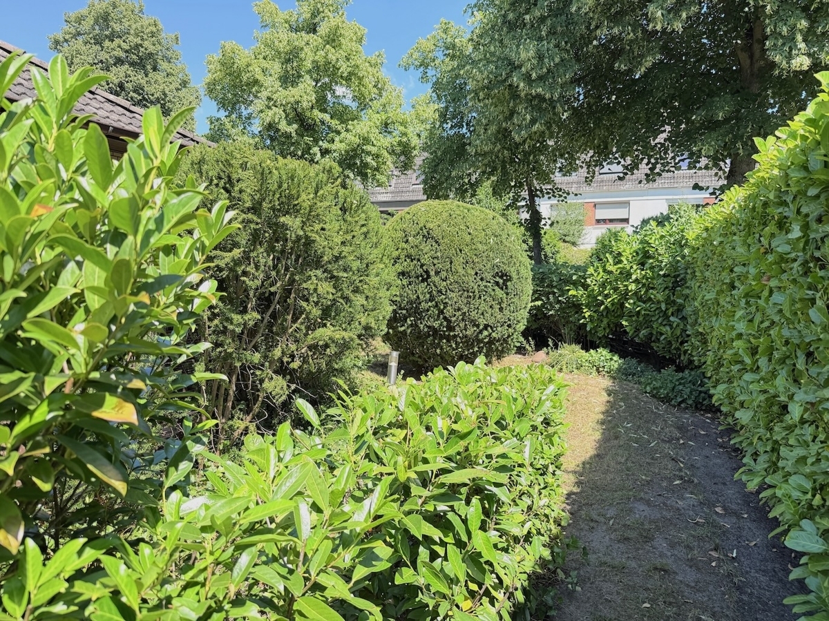 Gartenimpressionen