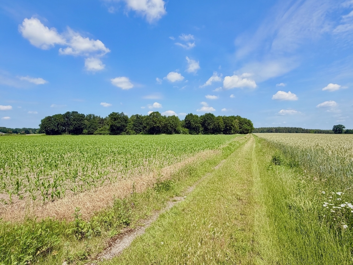 Umgebung Groß Hehlen