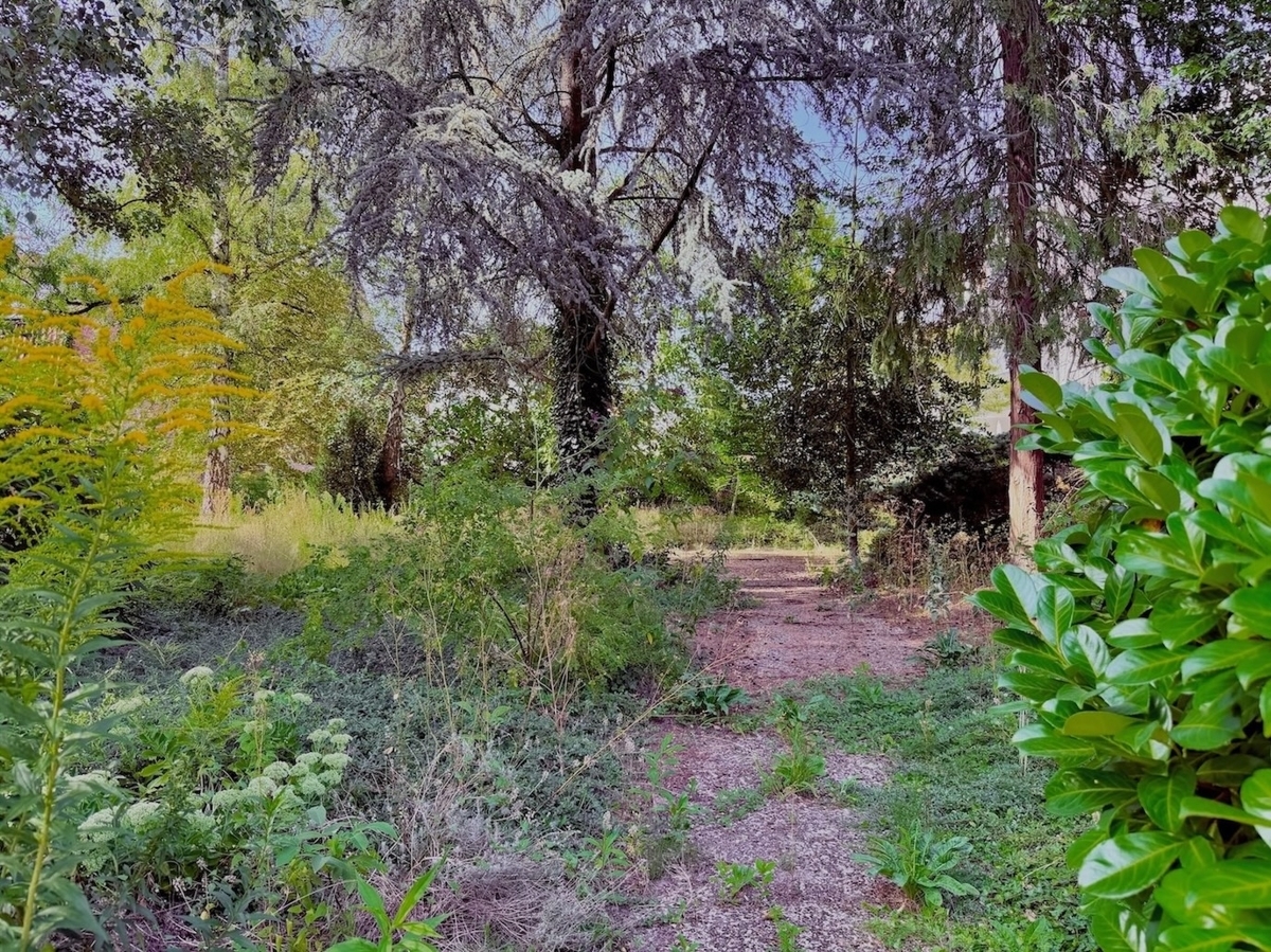 Gemeinschaftsgarten
