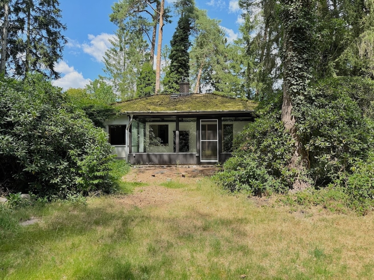 Blick zum Wintergarten