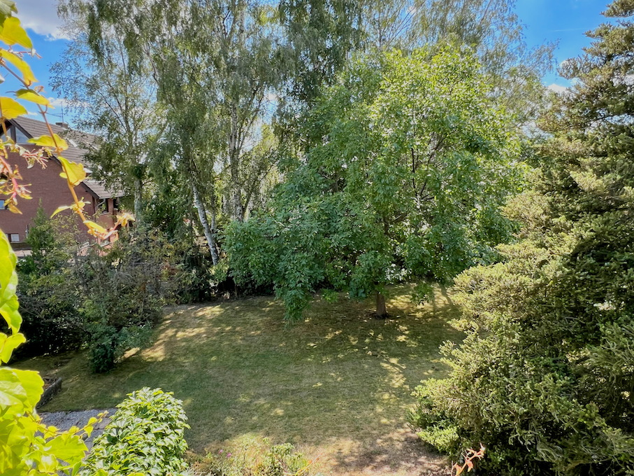 Blick in den Garten vom OG