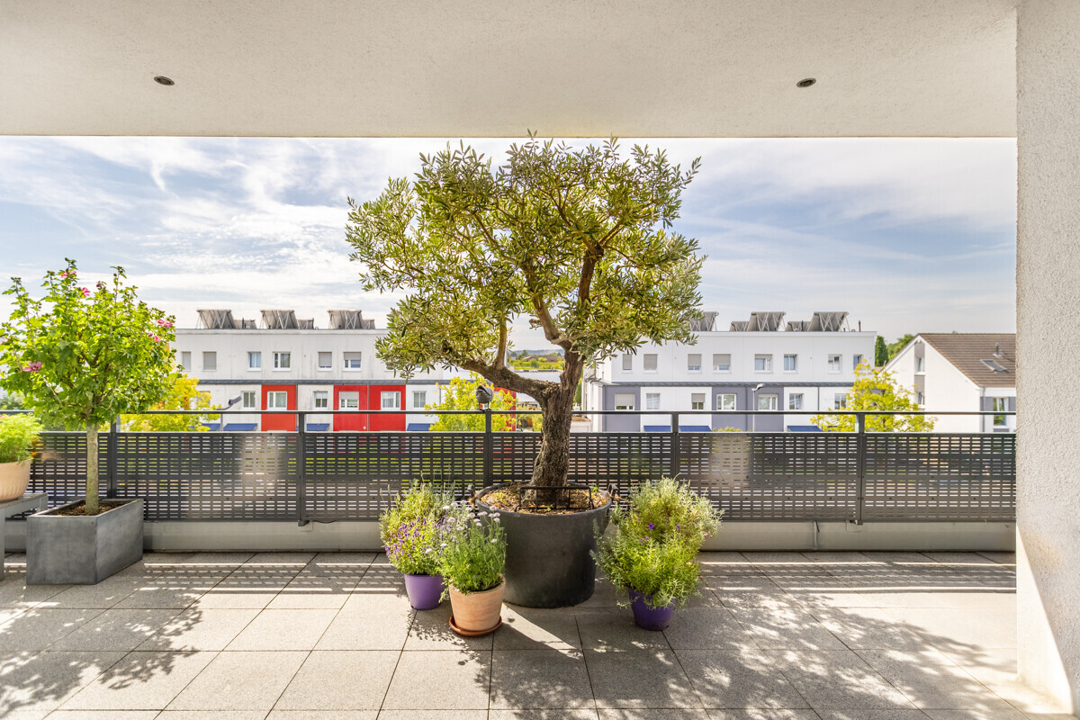 Penthouse in Neu-Widdersdorf