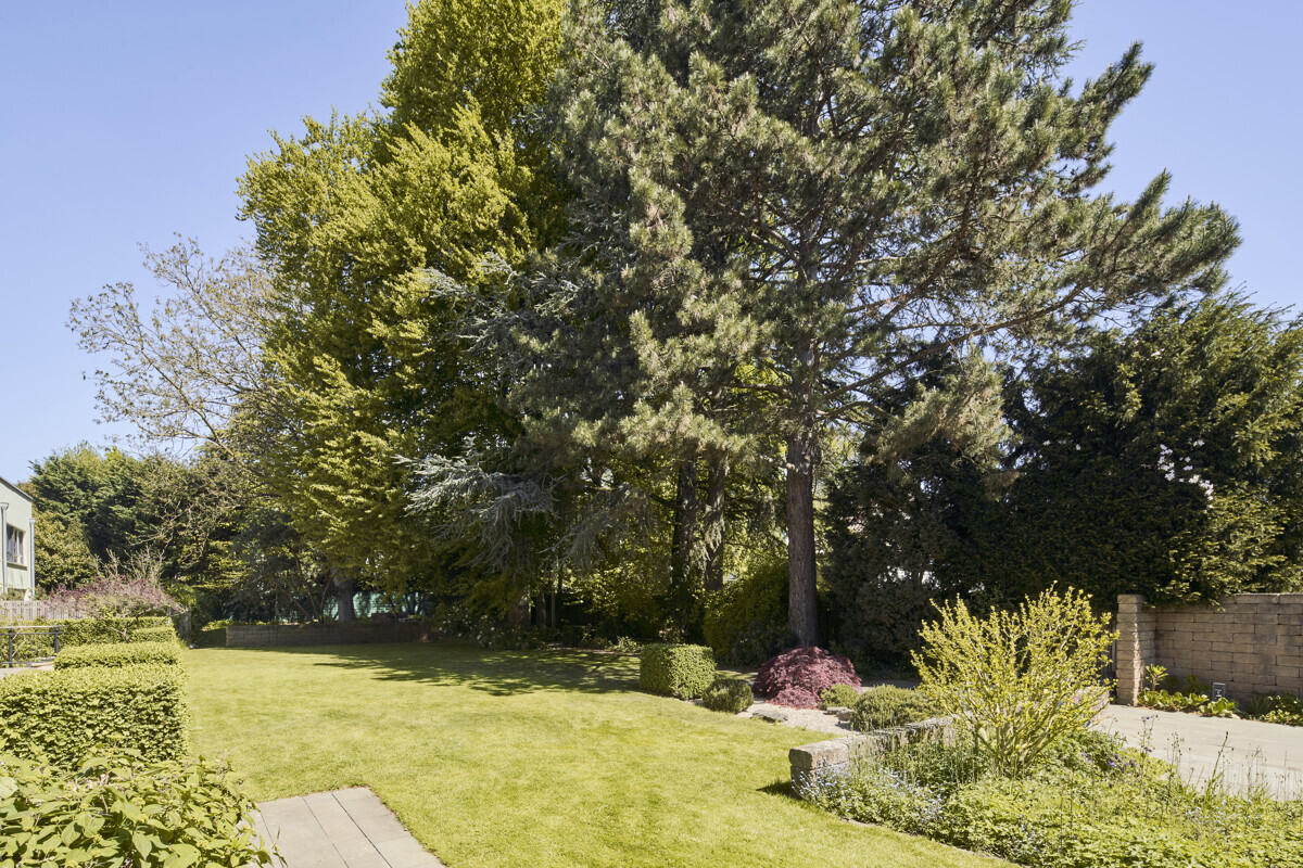 Großzügige Villa in Deckstein