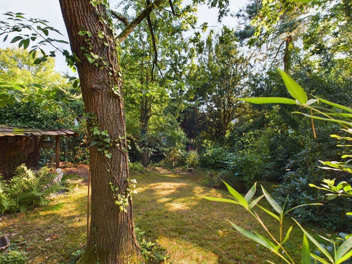 30er-Jahre Haus im Blumenviertel - Junkersdorf