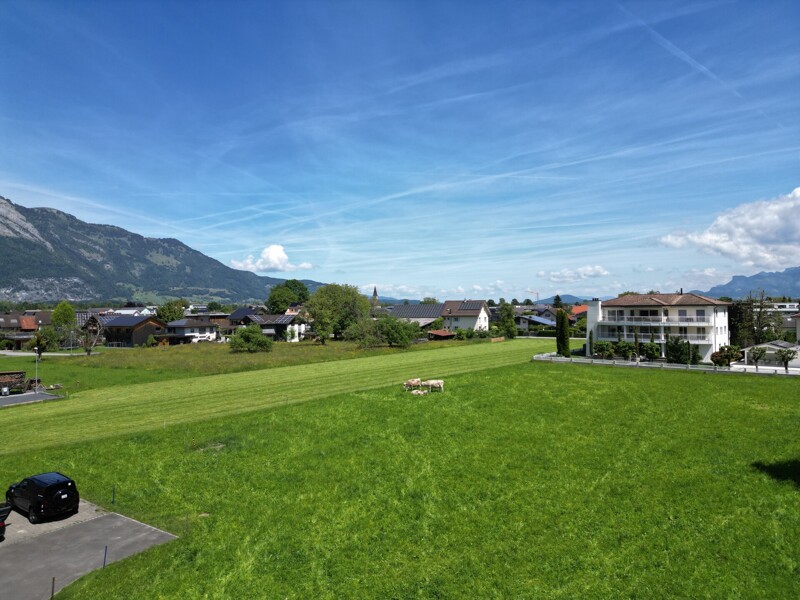DJI_0031