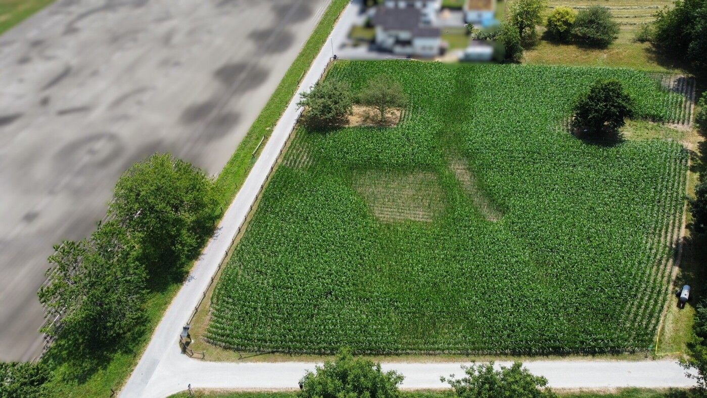 dji_fly_20260714_132242_874_1784028170240_photo_optimized