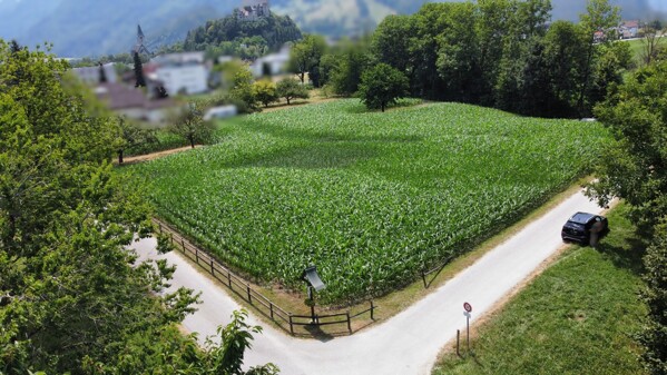 dji_fly_20260714_132556_878_1784028371612_photo_optimized
