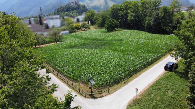 dji_fly_20260714_132556_878_1784028371612_photo_optimized