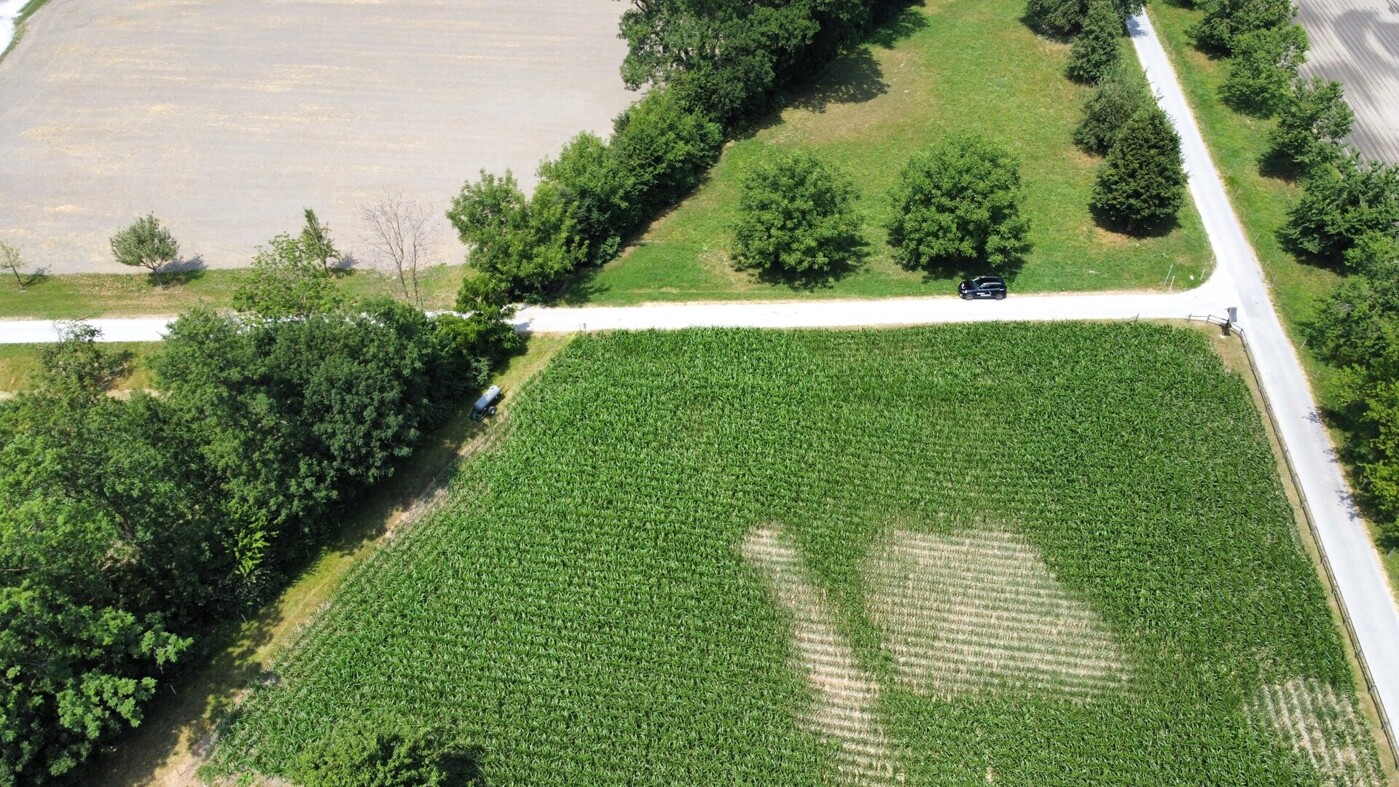 dji_fly_20260714_132336_876_1784028223106_photo_optimized