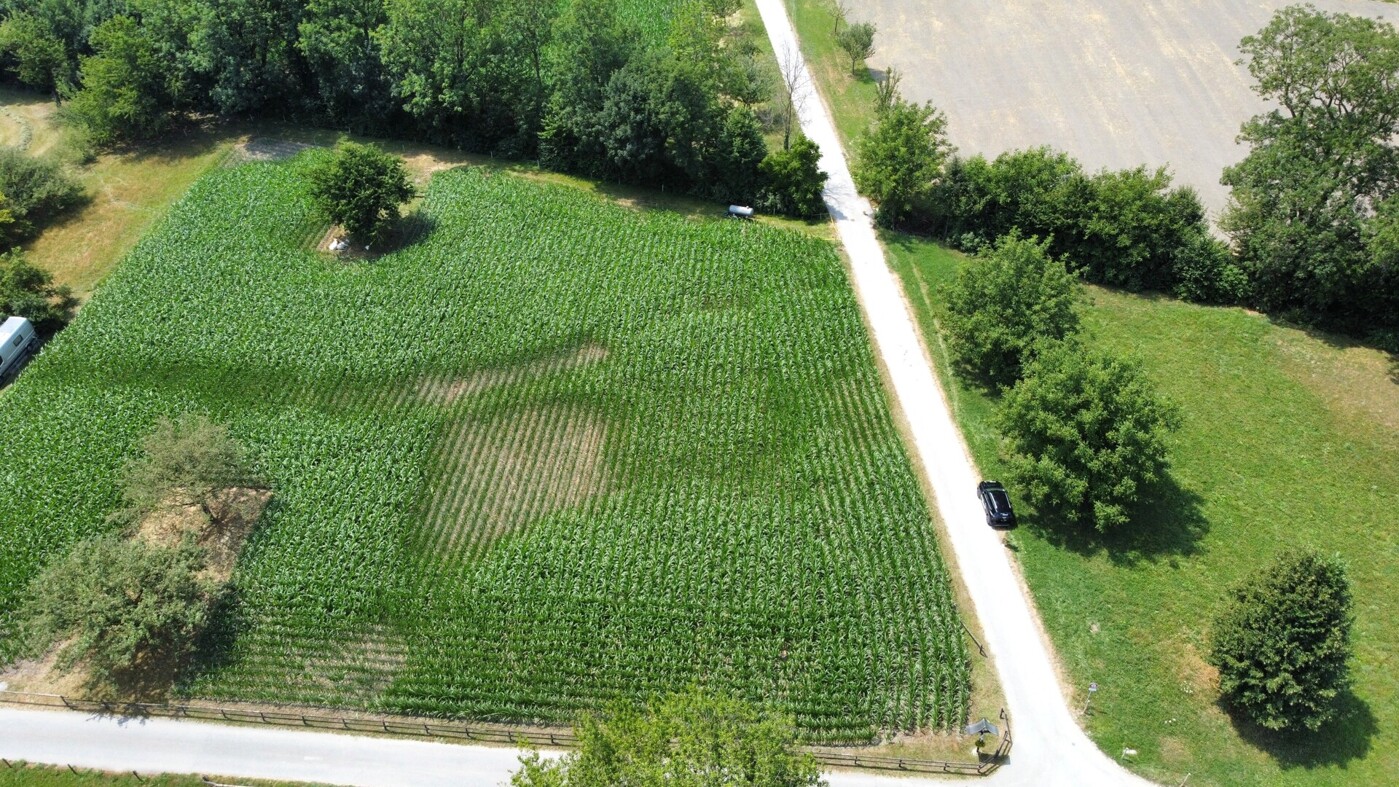 dji_fly_20260714_132158_873_1784028125291_photo_optimized