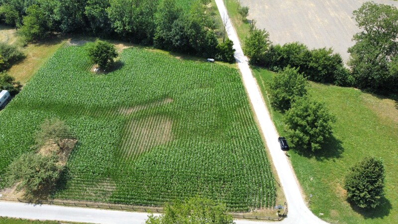 dji_fly_20260714_132158_873_1784028125291_photo_optimized