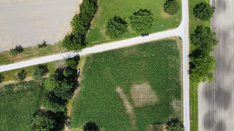 dji_fly_20260714_132422_877_1784028279176_photo_optimized
