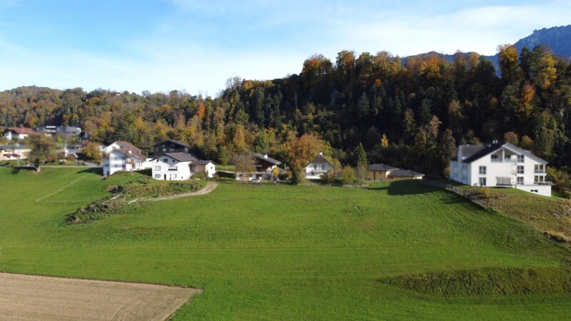 Design ohne Titel (46)