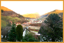 Ausblick