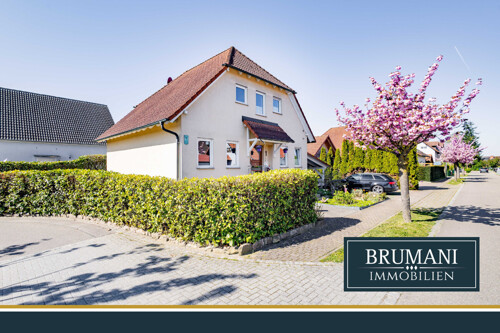 Im Kohlacker Titelbild