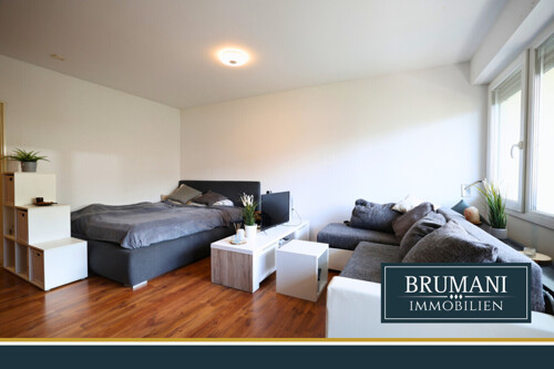 Ein-Zimmer-Wohnung Gundelfingen