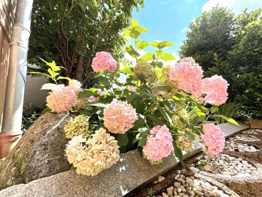 herrliche Gartenwohnung