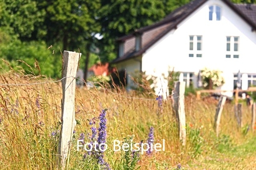 Grundstück mit Altbestand