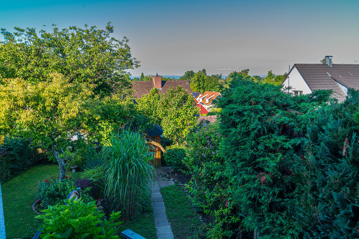 Blick in den Garten