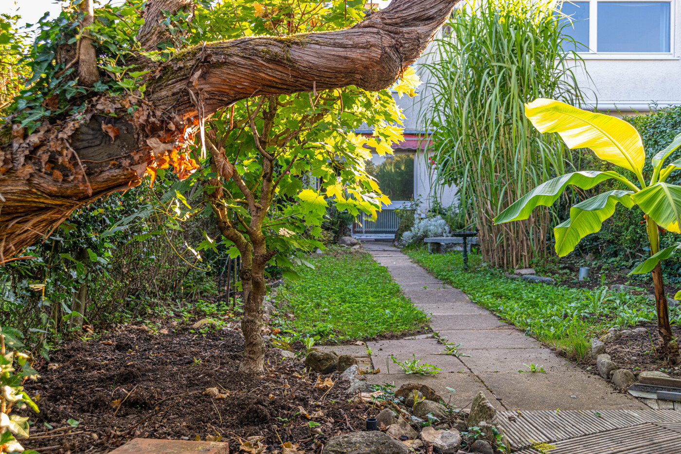 Garten 