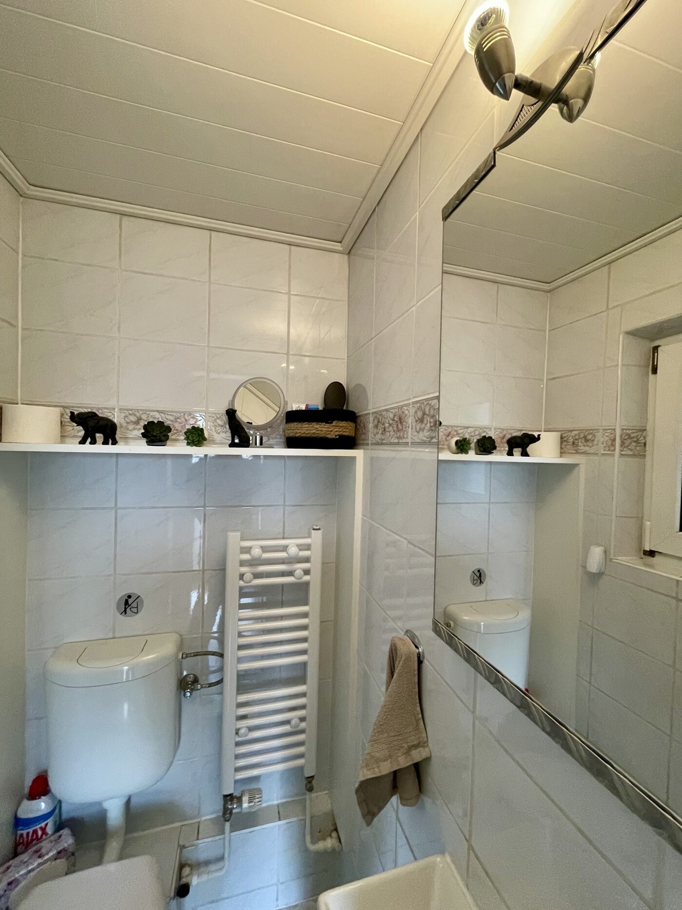 Vorderhaus EG Gäste-WC Ansicht 2