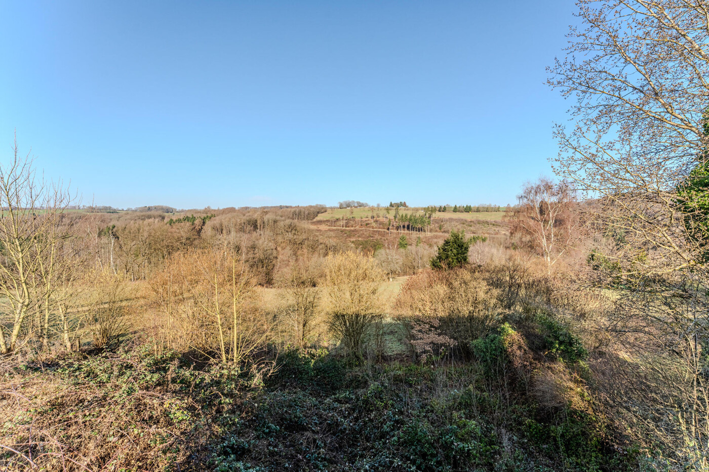 EG Wintergarten Ausblick