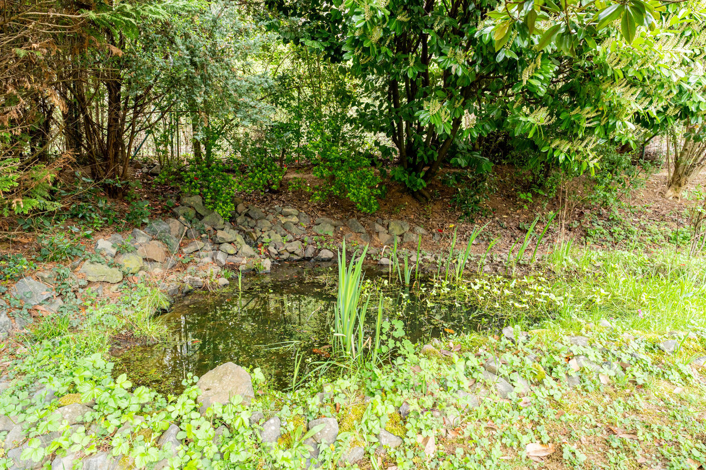 Teich mit Bachlauf