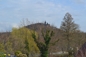 Schlossblick