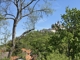 Schlossblick